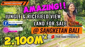 JUAL TANAH MURAH di TABANAN 2,100 m2 View Sawah dan Hutan